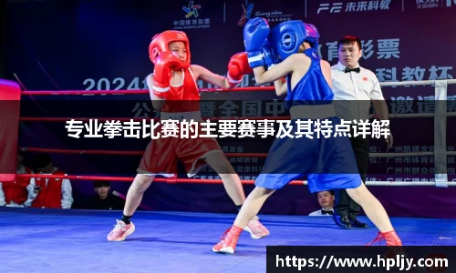 专业拳击比赛的主要赛事及其特点详解
